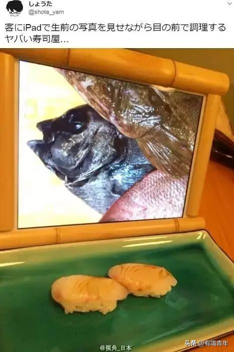 非洲雄狮打群架,俄罗斯战斗民族跟狮子打架