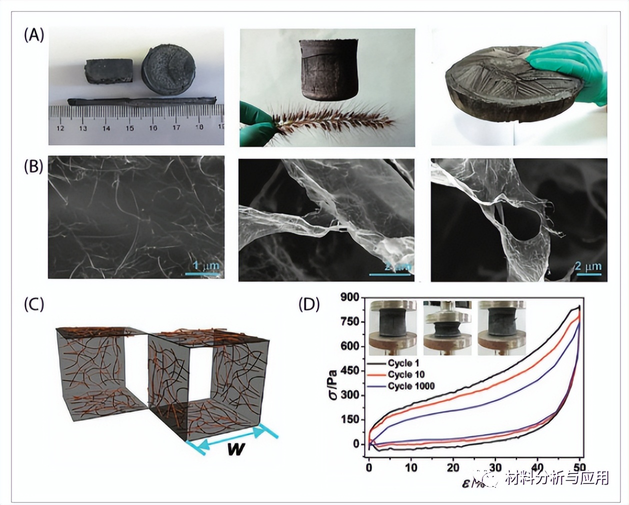 浙大高微微课题组:综述-弹性石墨烯气凝胶的设计、制备和应用