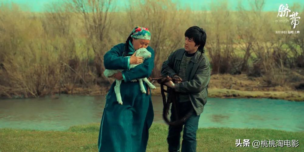 最近院线新片,最新院线新片