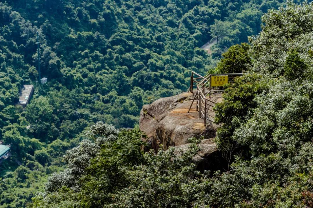 深圳最值得爬的景点,深圳十大最值得爬的山