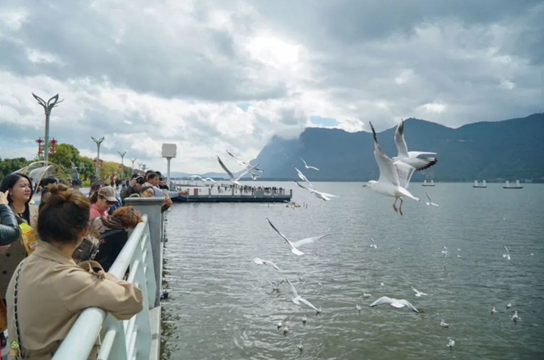 迈开脚步看风景别辜负昆明好风光,带你看云南昆明美景