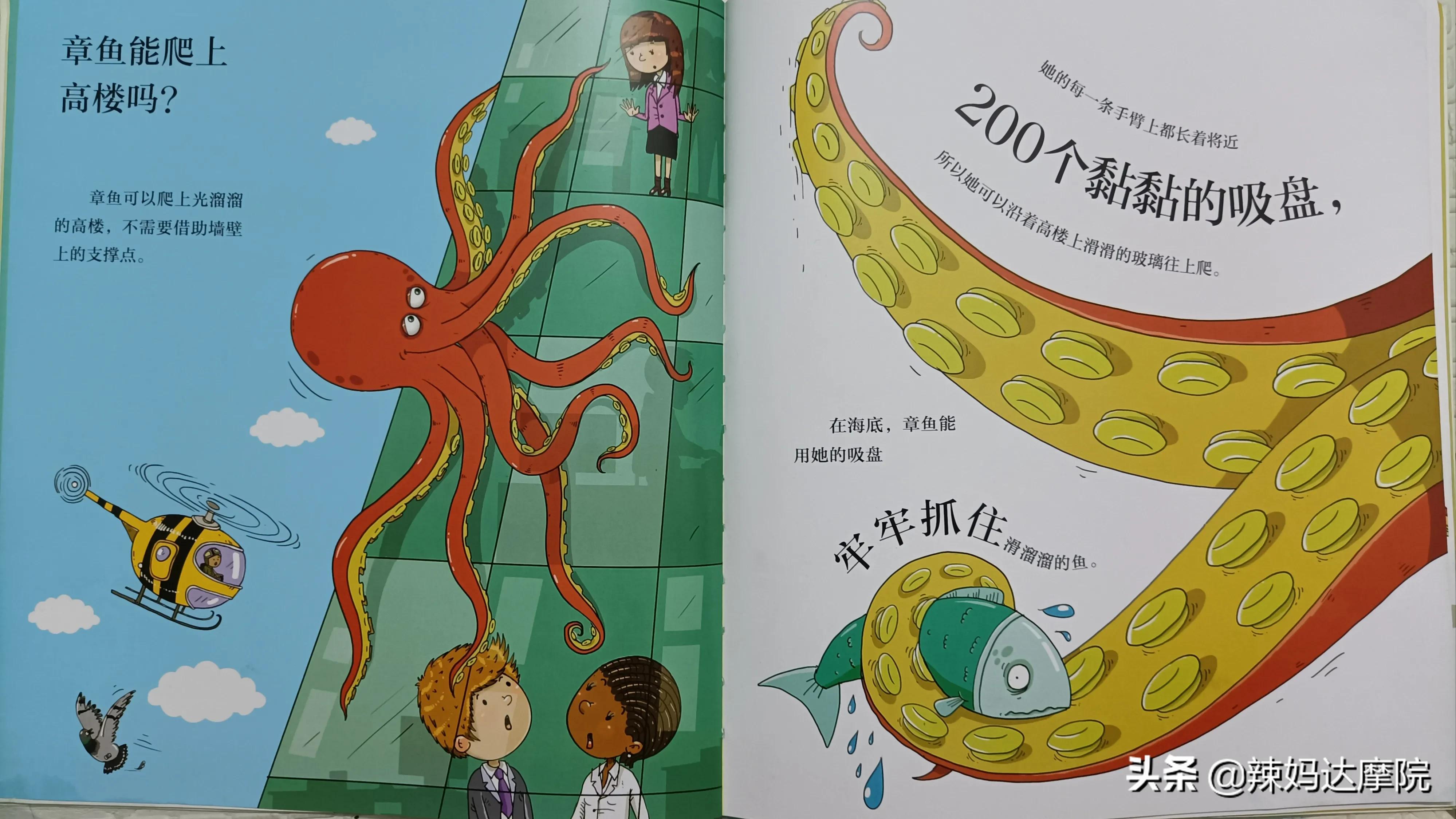 动物妙想国绘本有哪些动物,动物妙想国绘本英文版