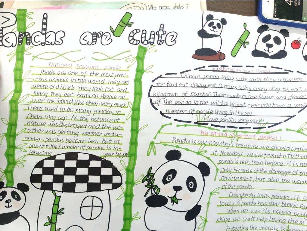 保护动物的英语手抄报六年级图文,英语保护动物手抄报六年级内容