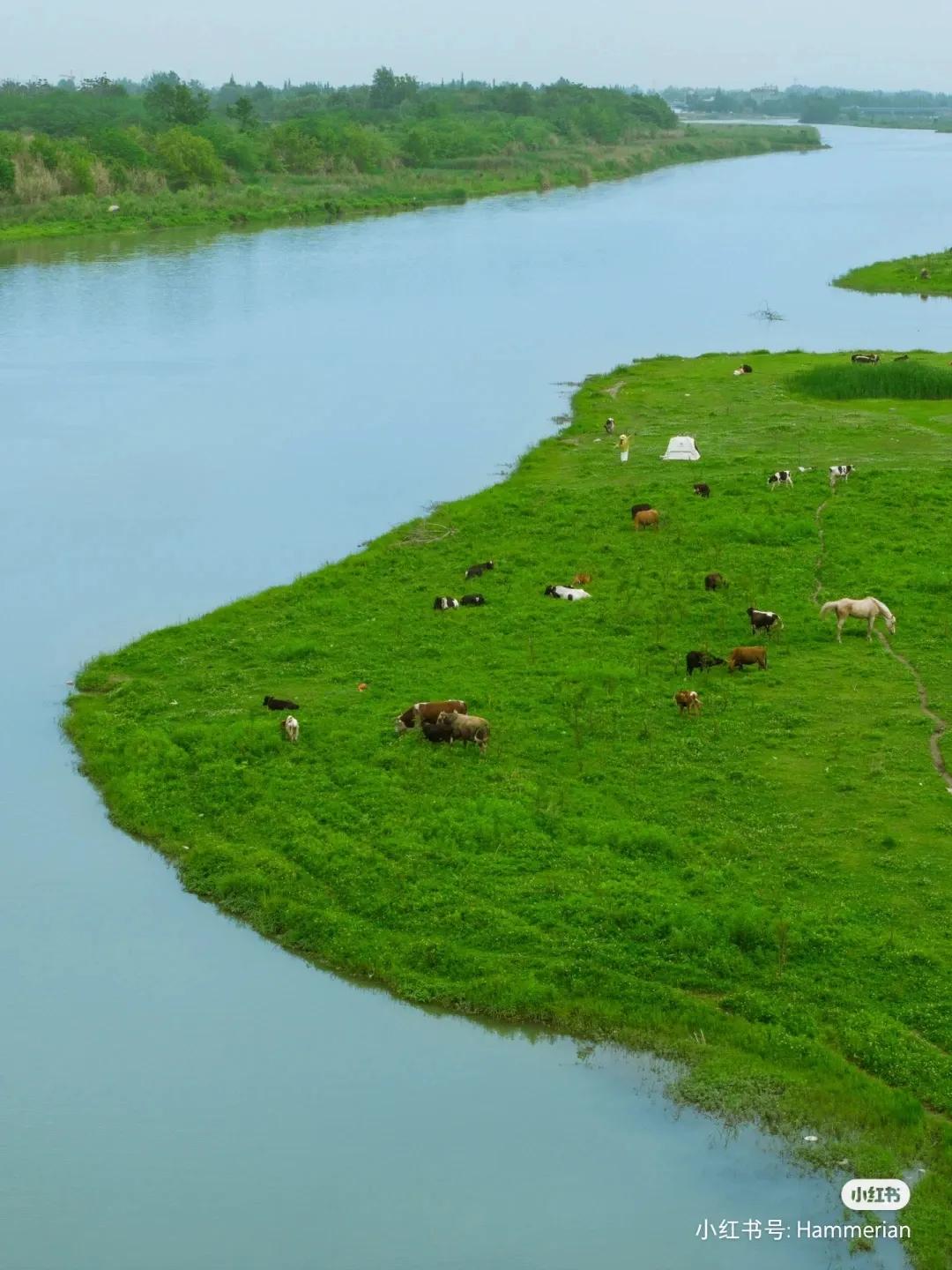 大成都范围内的露营基地,高峰朝阳露营地推荐