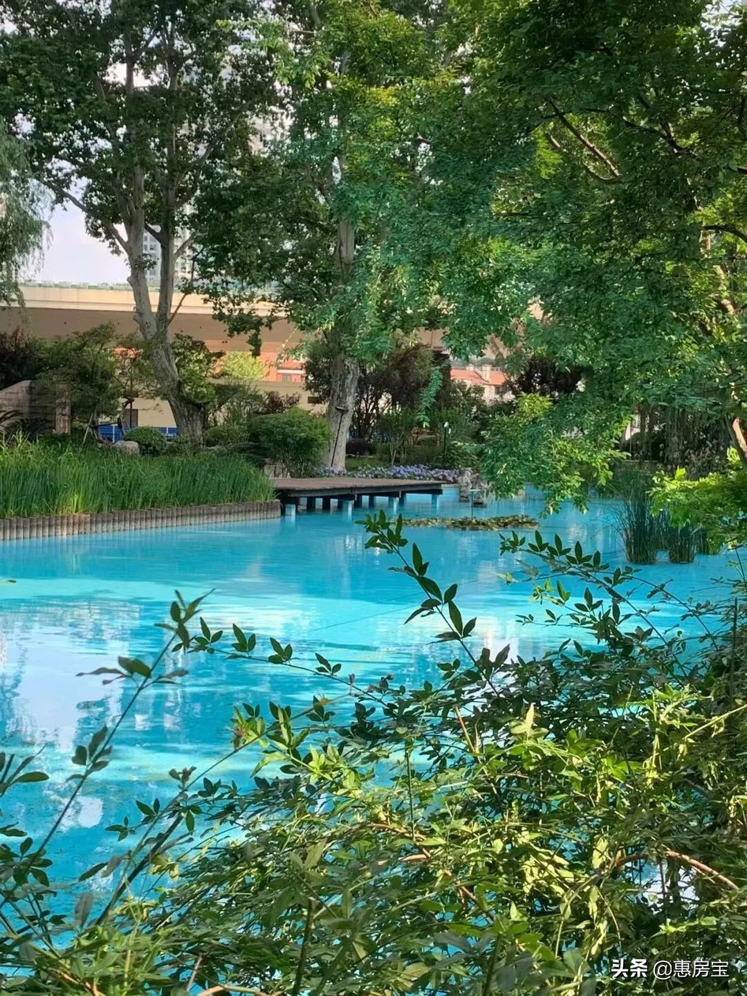 上海公园免费,上海免费公园排行