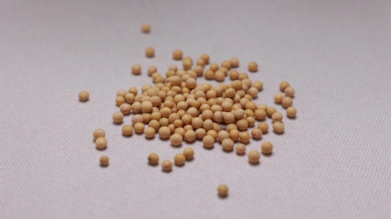 补钙吃保健品还是食补好,想补钙这六种食物不能少