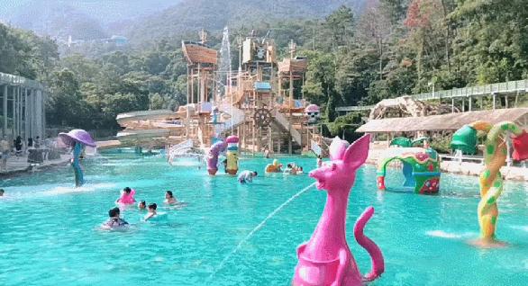 旅游年卡飞熊乐园,水上乐园年卡团购限几人