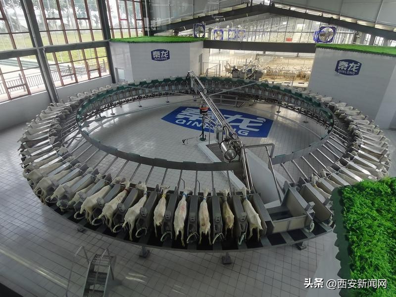 陕西羊奶粉前景,陕西羊奶粉发展前景