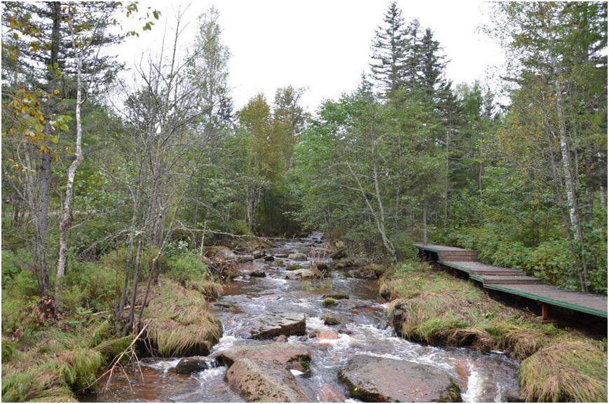 我有一帘幽梦歌曲完整版,电视剧我有一帘幽梦