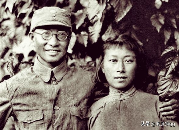 中野千里跃进大别山对全国影响,中野为什么要挺进大别山