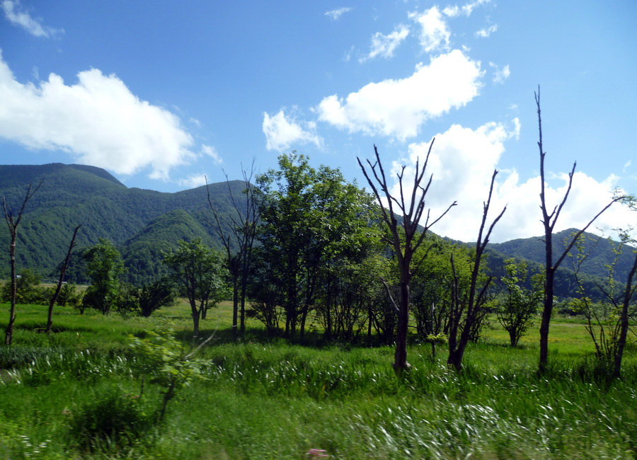 带你欣赏大九湖的美景,大九湖之旅