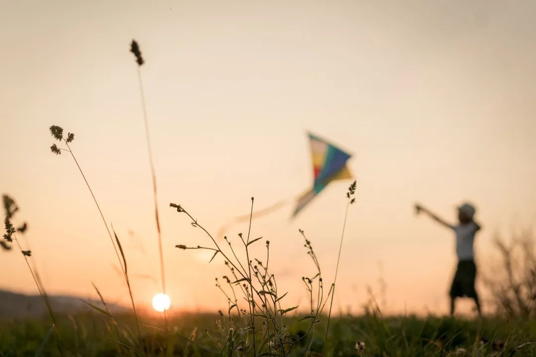 鍝佽瀹朵埂浼犵粺鏂囧寲,鍝佽瀹朵埂