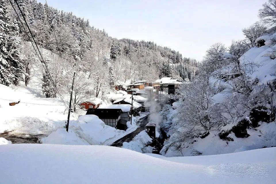 日本酒地图,日本最好的小麦酒