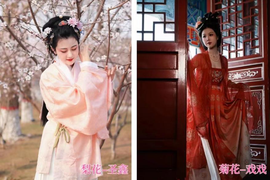 临清宛园花朝节,宛园花朝节门票