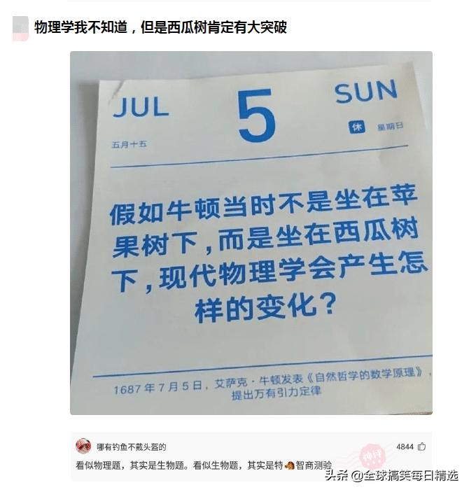 你的岗位还招人吗神回复,问做什么工作怎么神回复