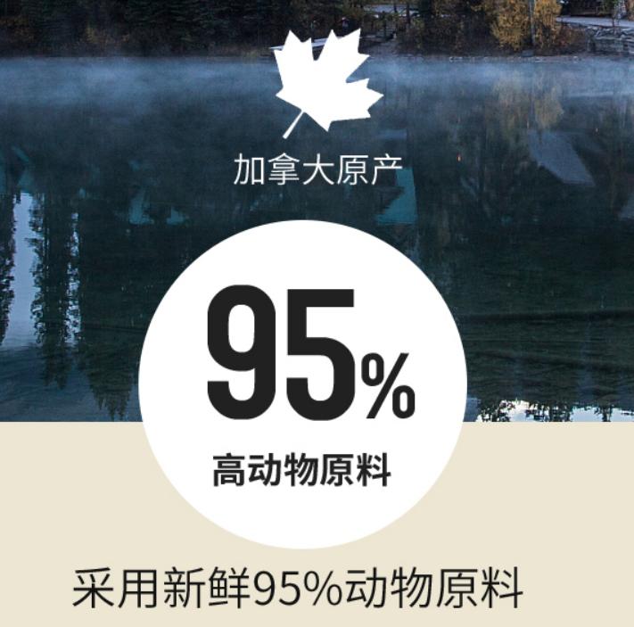 搞笑视频完整版,豹笑了