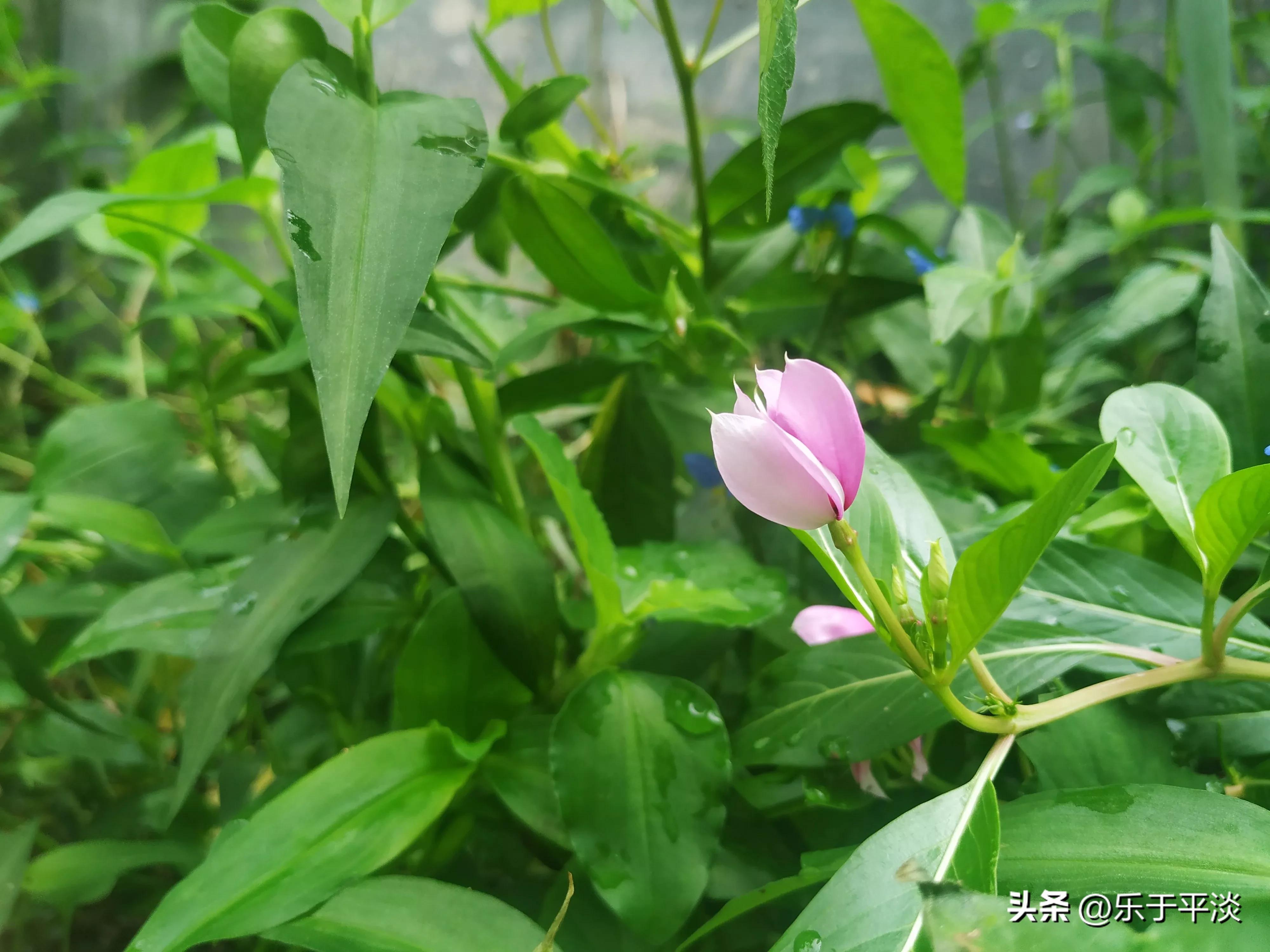 邮政免费寄快递攻略,邮政快递体验完毕