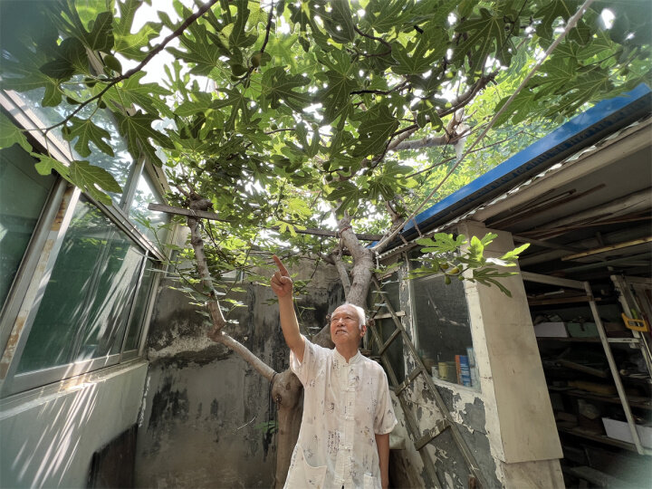 我的中医故事pdf,我的中医故事第一集