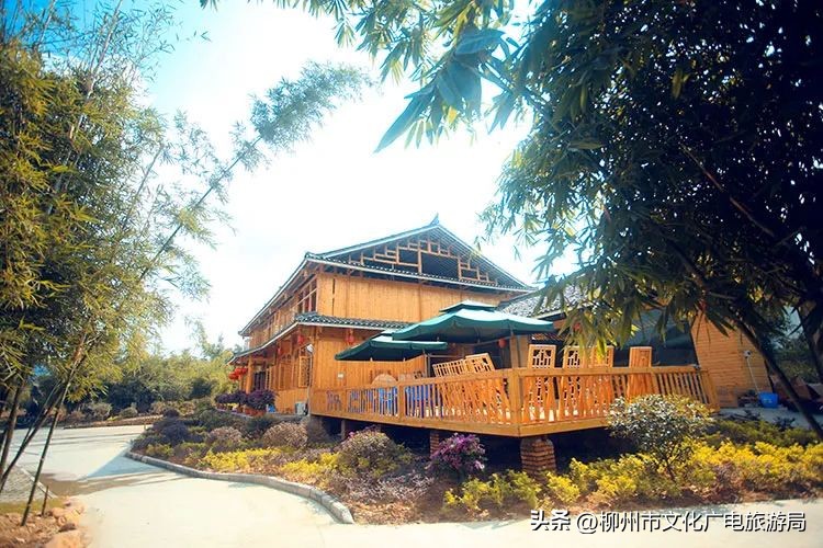 暑期旅游景区活动,暑期旅游优惠活动来啦