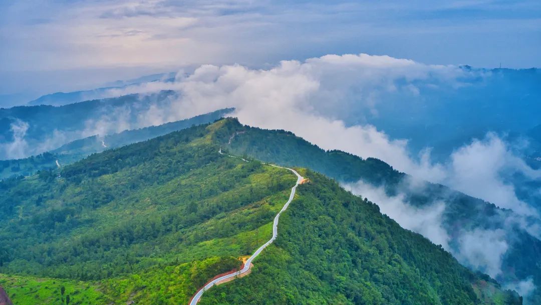 金堂2022年到2025年安置项目,龙泉驿区2021民生项目征集