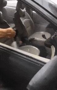 神回复的含义是什么,神回复的语句