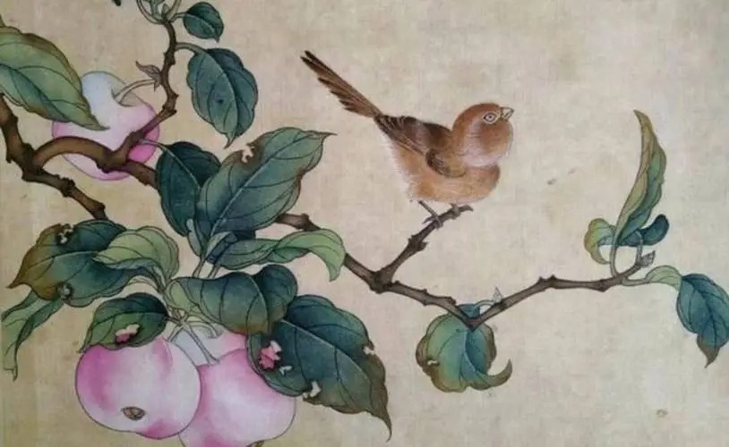 苹果本不叫“苹果”，古人取了个很唯美的名字，被日本人沿用至今