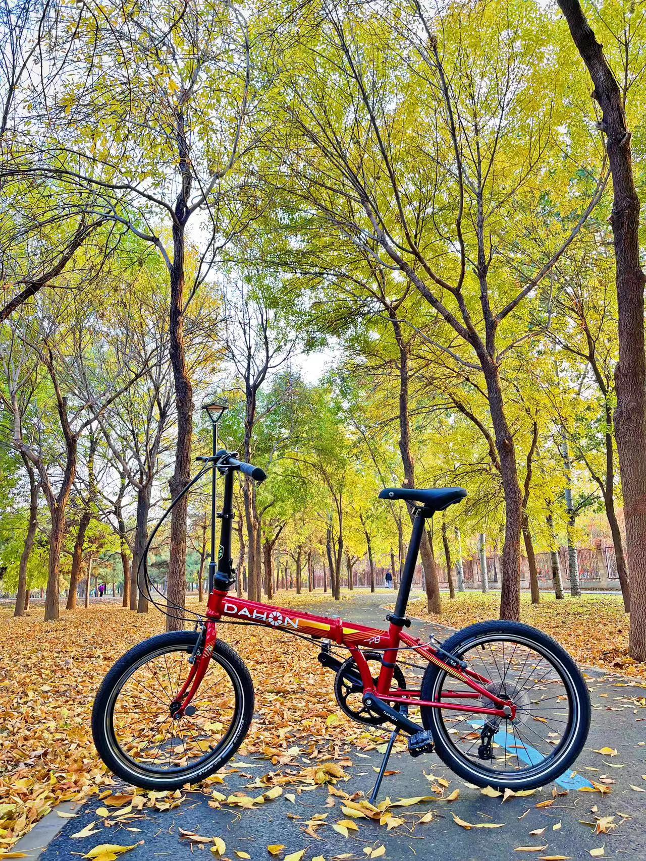 dahon大行16英寸,dahonp8折叠自行车和p8青春版
