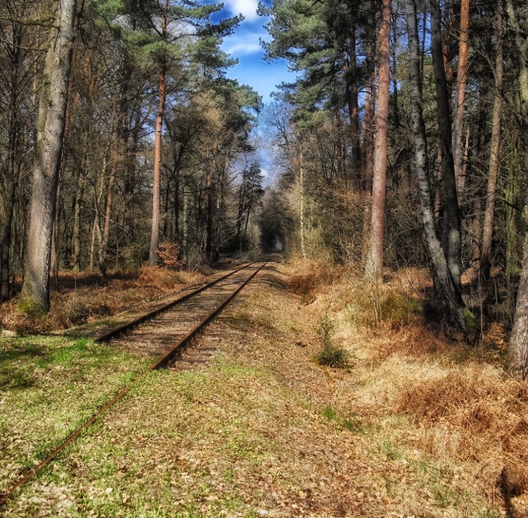 简述德意志关税同盟的主要内容,德意志关税同盟如何建立