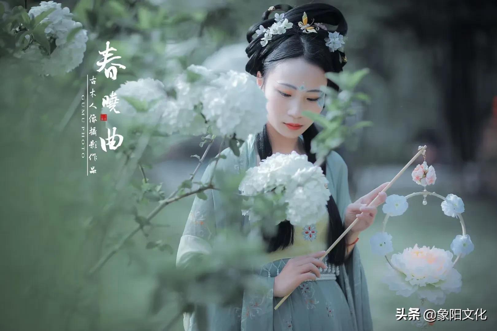 诗词摄影鉴赏,摄影古诗欣赏