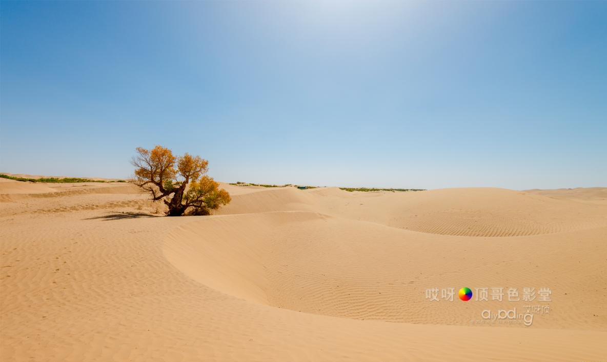 女司机带娃去新疆自驾游,带着女司机自驾游兰州