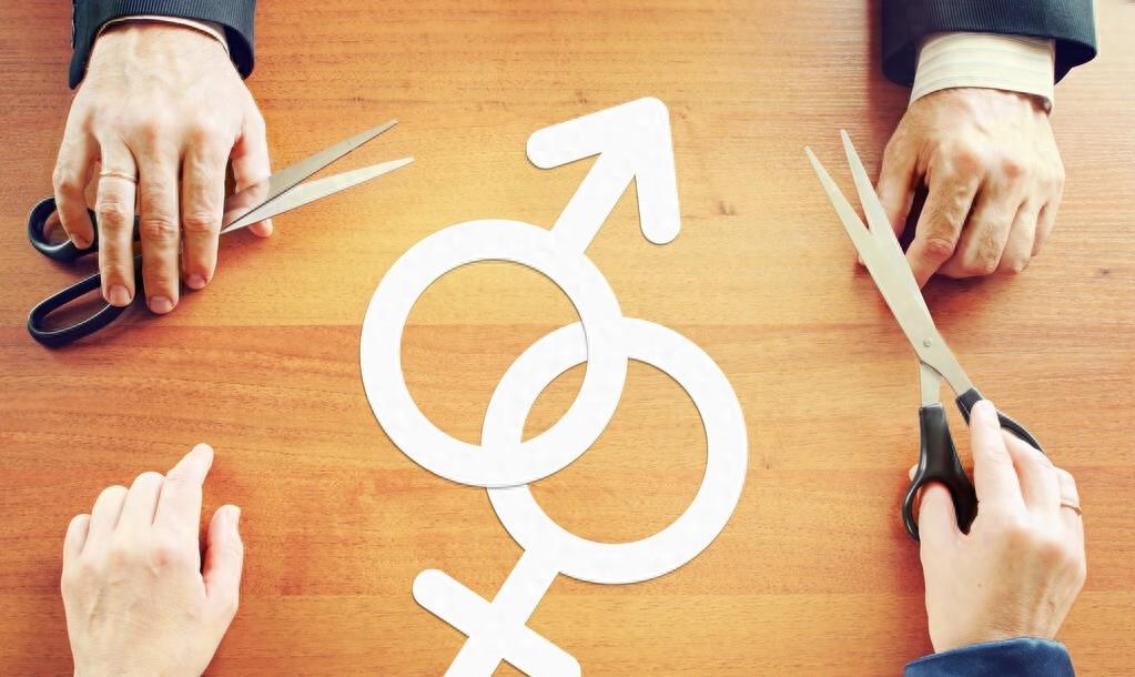 你不可不知的动物之谜读后感500字,你不可不知的情感真相