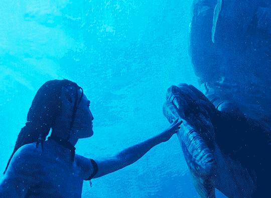 阿凡达2讽刺日本捕鲸船照片,阿凡达2讽刺日本捕鲸镜头