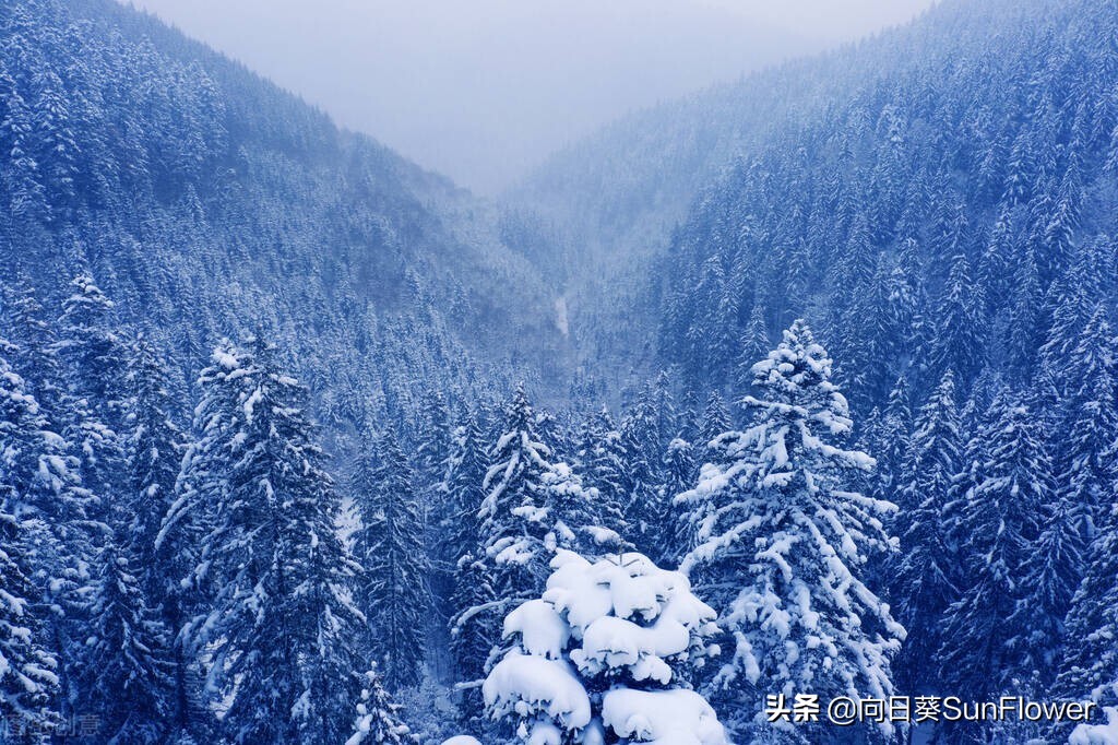 鎴戝湪瑗夸集鍒╀簹,瑗夸集鍒╀簹妫灄鏈変粈涔堝ソ鏈ㄦ潗