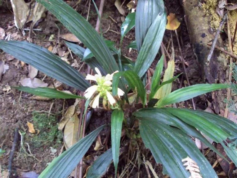 100种迷人的“数字花”,从零到一百万,真是太神奇了