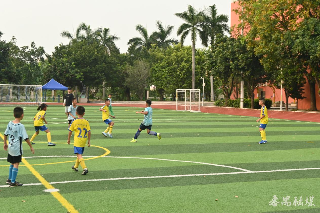 番禺区中小学生校园足球赛,2019年番禺区中小学足球联赛