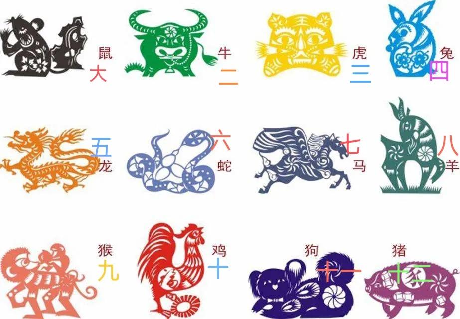 十二生肖三分钟的了解,十二生肖知多少这些知识你了解吗