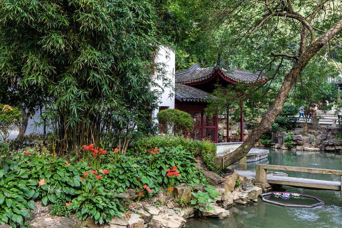 苏州这座城市怎么样,苏州最值得去哪个区