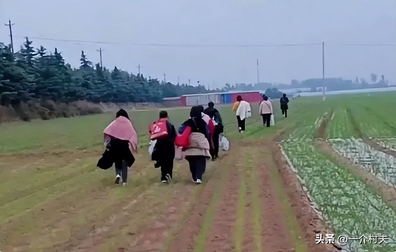 夜里富士康员工徒步返乡感人瞬间,富士康员工徒步返乡发生什么事了