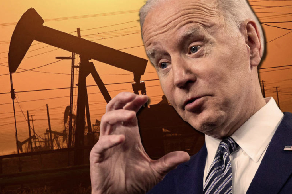 美国新能源战略布局,美国新能源发展模式