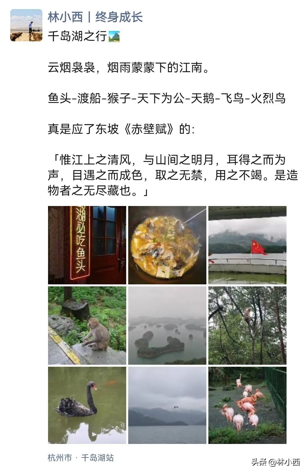 讲复盘的好书,关于复盘的好书