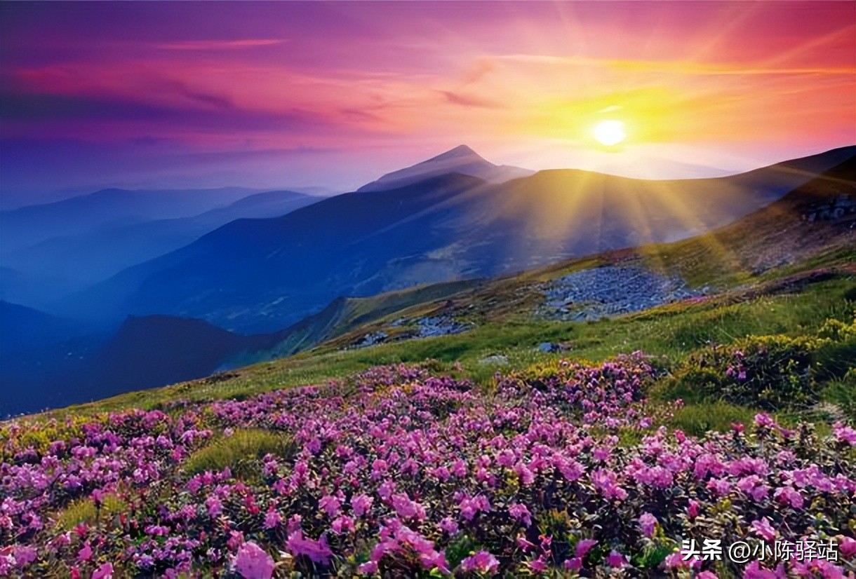 梦见和老婆吵架闹离婚是什么征兆,跟老婆吵架闹得要离婚