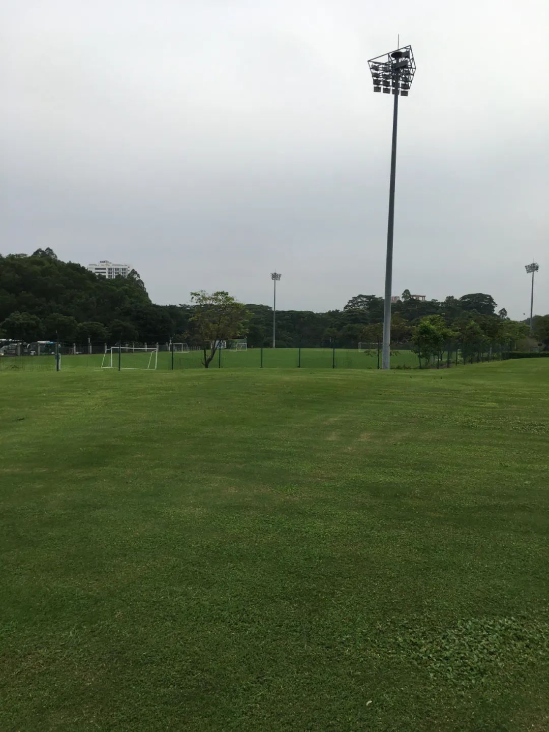 旭光电动车行,旭光车行向阳路