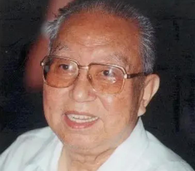 2008北京奥运会开幕谁受伤了,2008奥运年发生了什么