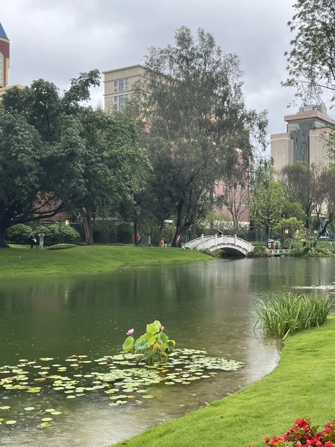 成都秋季拍照地,成都拍照打卡地推荐5月