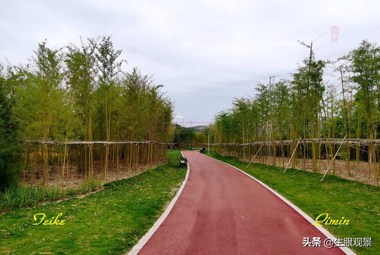 淄博花山公园好看吗,推荐一个好地方淄博花山公园