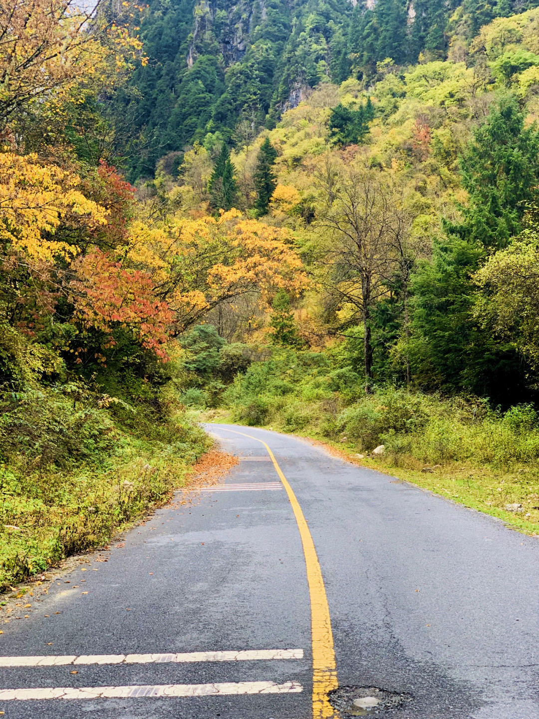 一天来回！别名“小九寨”的油画秋色、高山草甸，一站式游玩到底