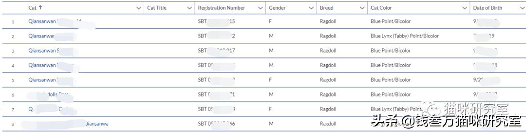 新手养猫便宜选择哪种猫,买纯种猫注意事项有哪些