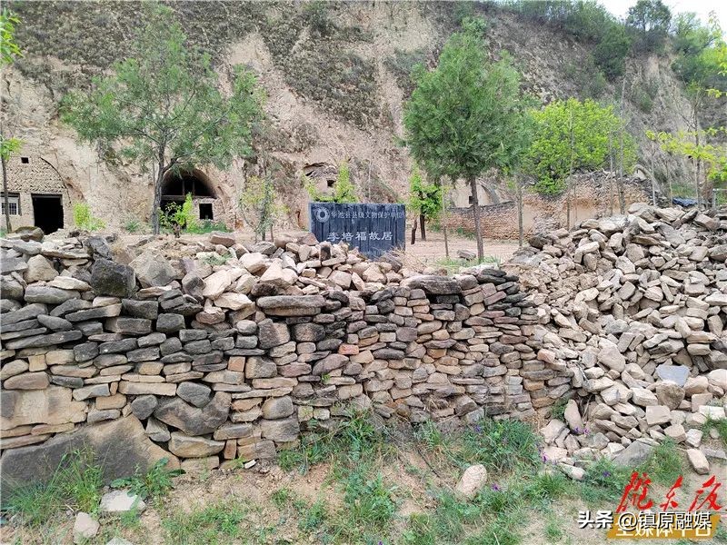 非常眼丨西野纵横战悦乐