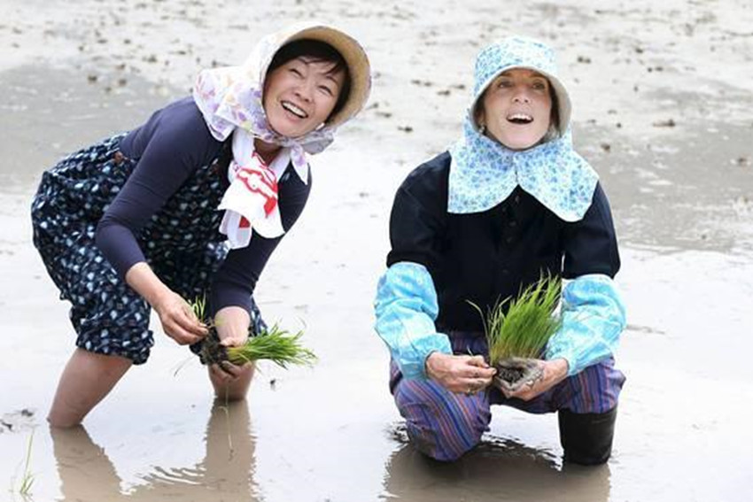 安倍昭惠今天情况,日本各界评价安倍昭惠