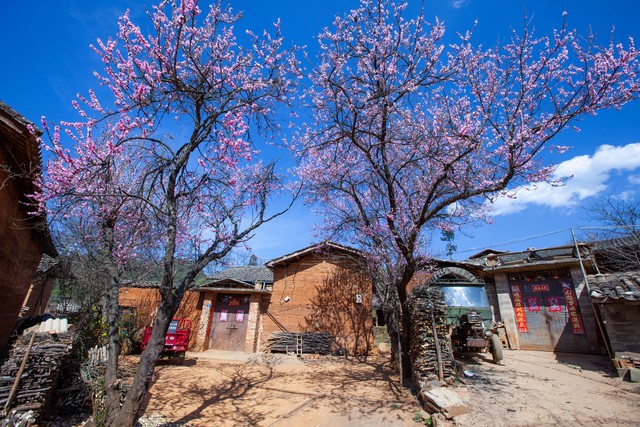 乡土散文消失的村庄,乡土散文朗诵